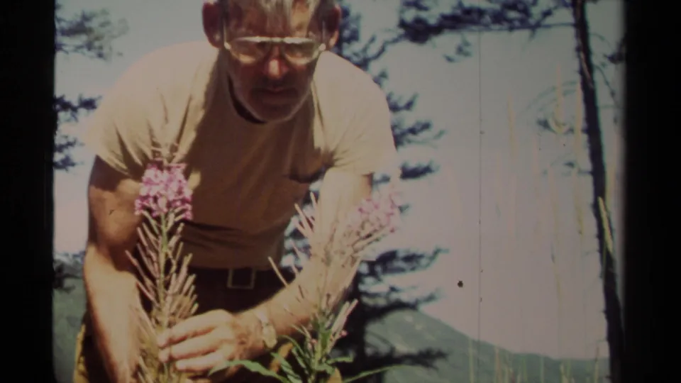 In 1979 British Columbia footage, a man in glasses bends close to purple wildflowers with trees and hills behind him.