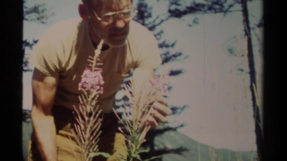 A 1979 home-movie frame shows the man bent close to purple wildflowers in a bright British Columbia outdoor setting.