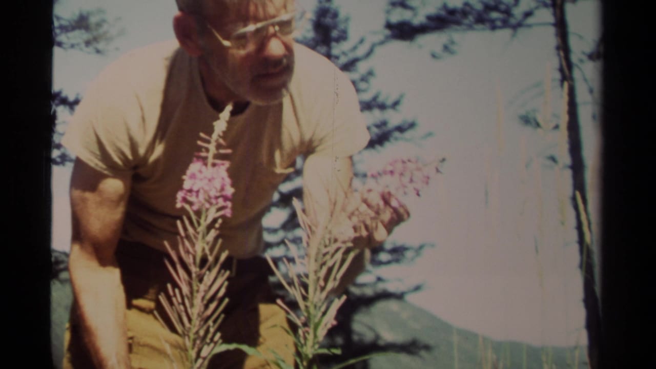 Man with glasses leans near purple fireweed in a forested mountain setting.