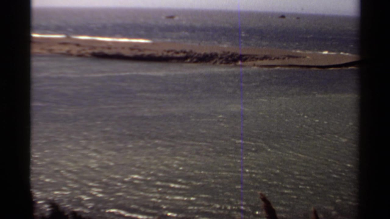 Wide water view with a distant sandbar, bright wave breaks, dark foreground edges, and shimmering surface.