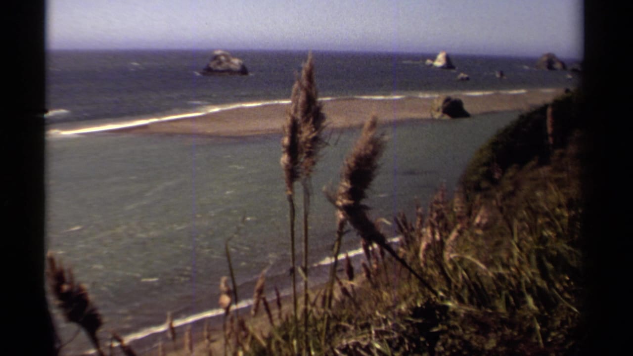 1980 Mendocino coastal view from a grassy cliff, with reeds in the foreground, beach and waves below, and sea stacks offshore.