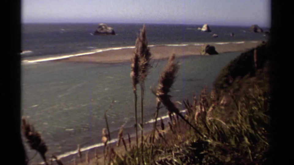 1980 Mendocino coastal view from a grassy cliff, with reeds in the foreground, beach and waves below, and sea stacks offshore.