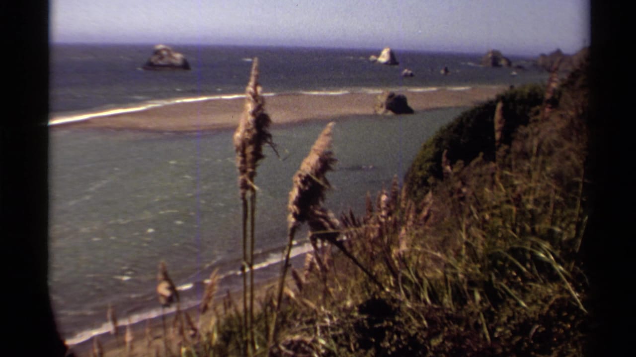 Mendocino coast in 1980, seen past tall grasses toward a sandy beach, pale surf lines and rock sea stacks in the Pacific.