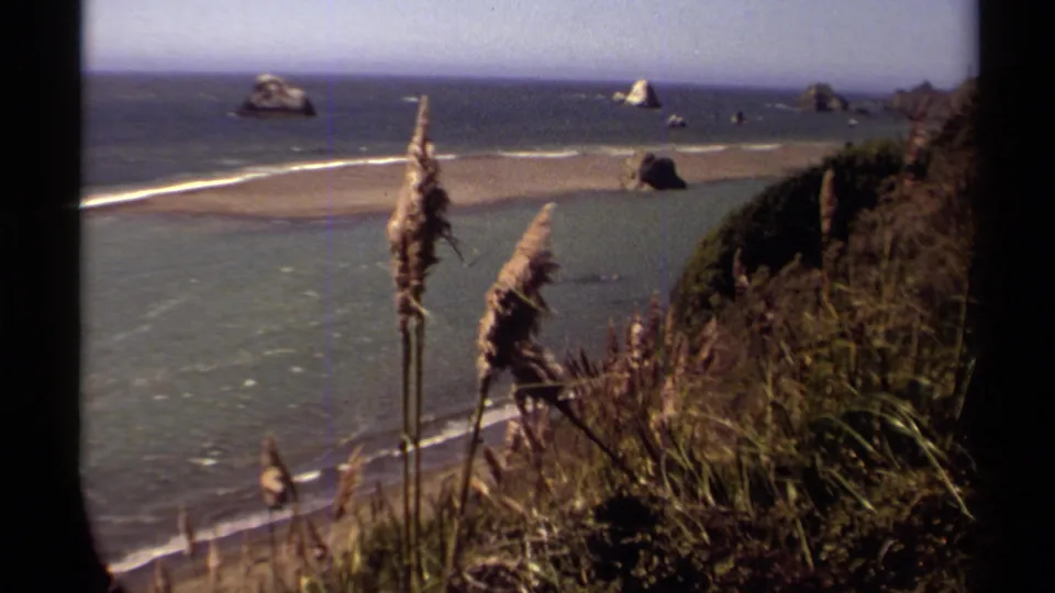 Mendocino coast in 1980, seen past tall grasses toward a sandy beach, pale surf lines and rock sea stacks in the Pacific.