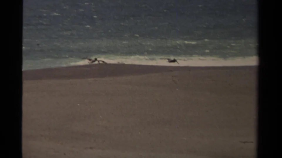 Pelicans appear near the surf line over a broad sandy Mendocino beach, framed by dark 8mm film edges.