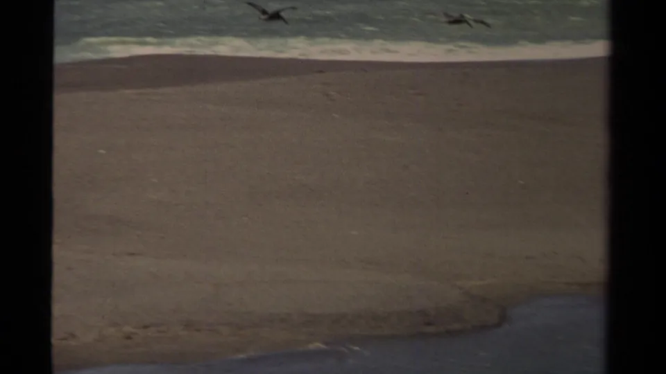 Two pelicans move across the frame over pale sand and churning surf in this 1980 Mendocino 8mm shot.