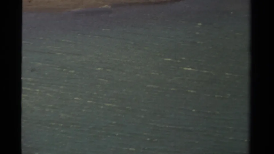 Mendocino, California 8mm footage from 1980 shows open rippling water, with the pelicans not clearly visible in this frame.