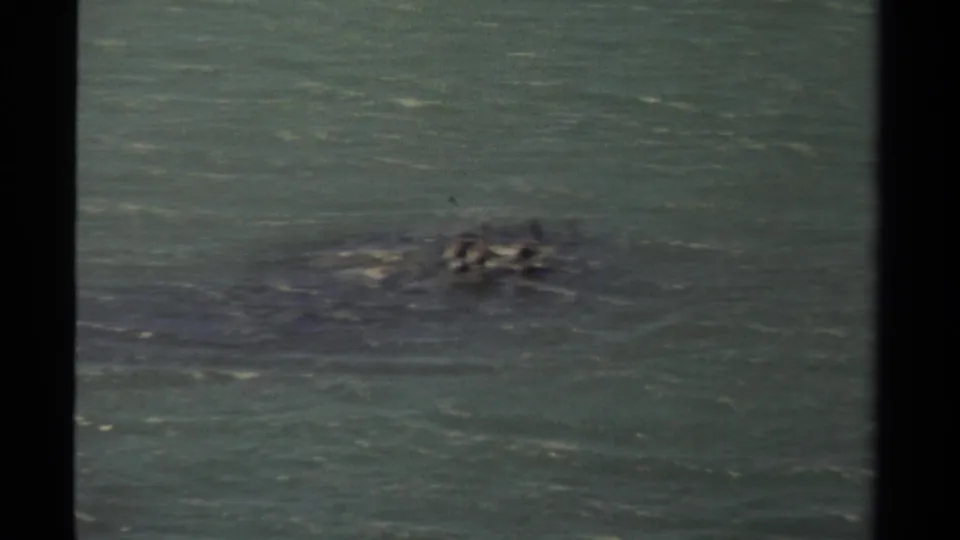 1980 8mm Mendocino coastal footage showing distant birds or a small boat on muted teal water, with soft focus and film grain.