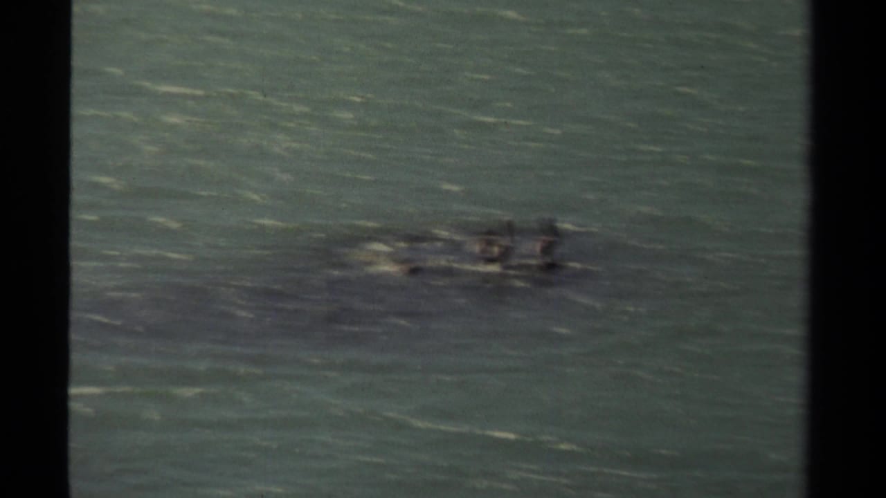 Small distant shapes move across open water near the right side of the frame.