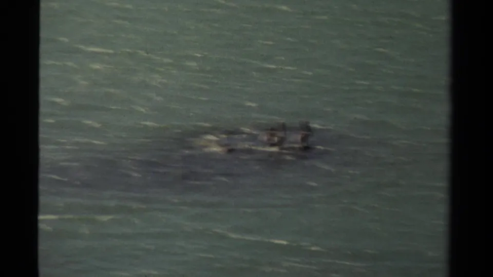 A distant cluster, possibly birds or a small boat, appears on open water in this 1980 Mendocino home-movie frame.