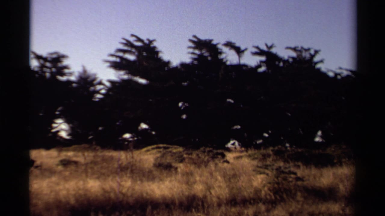 1980 Mendocino landscape with dry grass and silhouetted coastal trees framed by visible 8mm film edges.