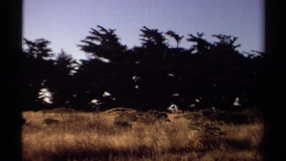 1980 Mendocino landscape with dry grass and silhouetted coastal trees framed by visible 8mm film edges.