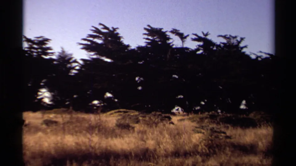 End frame of the 1980 Mendocino clip showing silhouetted trees over dry golden grasses in a home-movie scan.