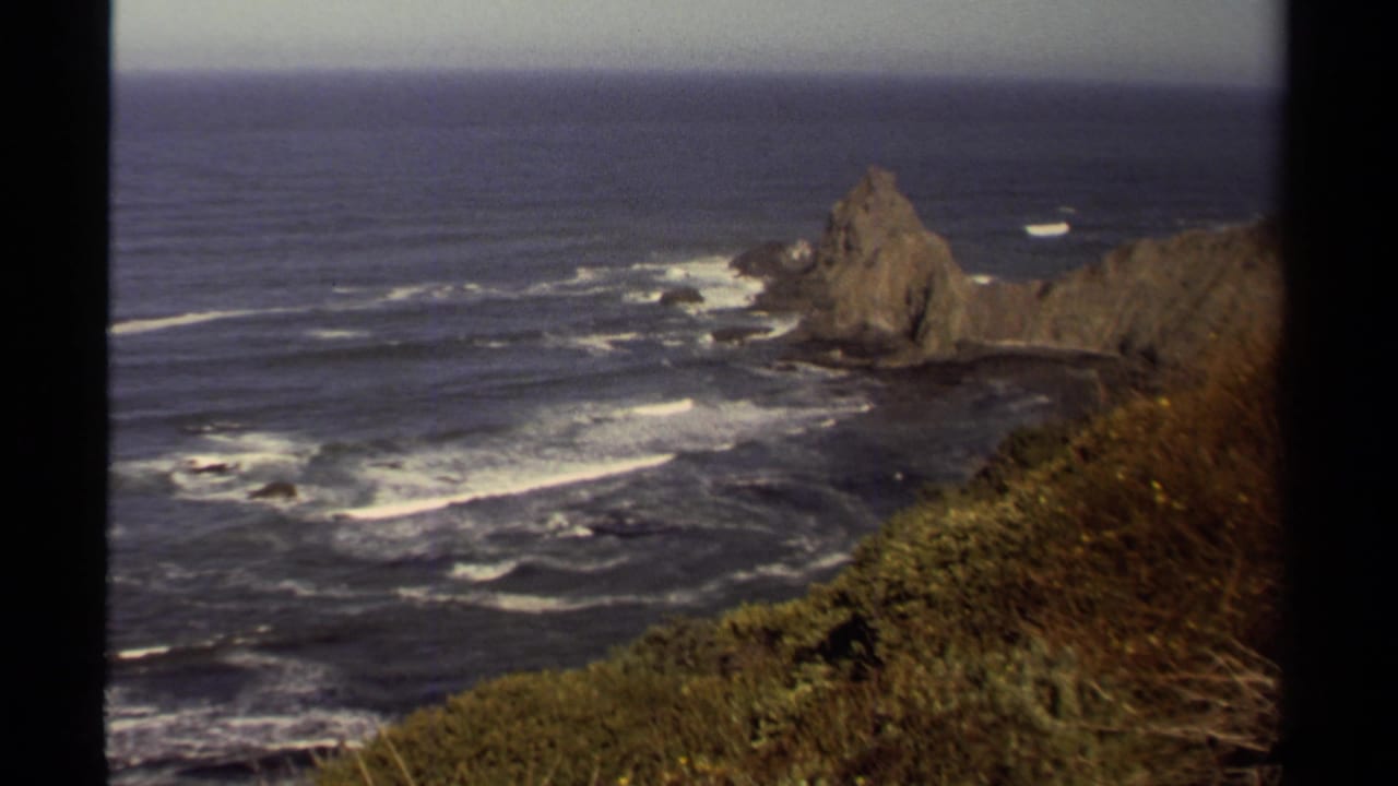 Coastal sea stack and surf seen from above with brush in the foreground.