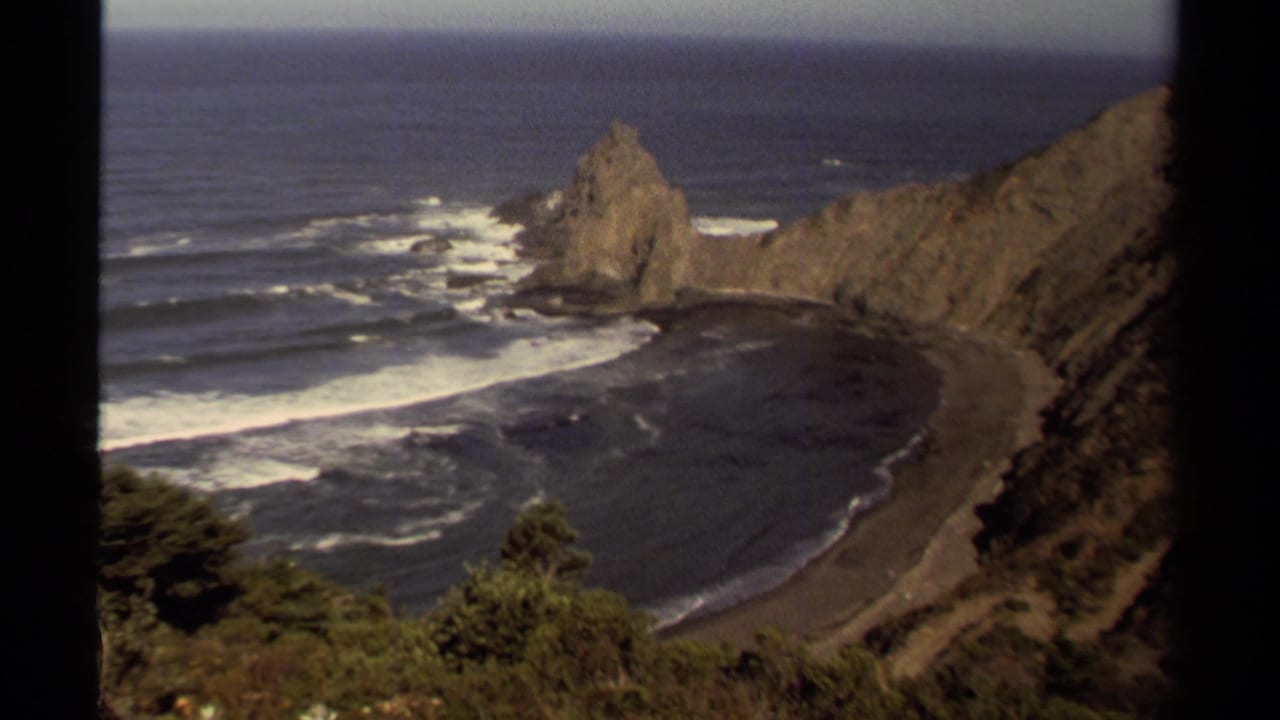 Rugged coastal cove with sea stack, waves, cliffs, and foreground shrubs.