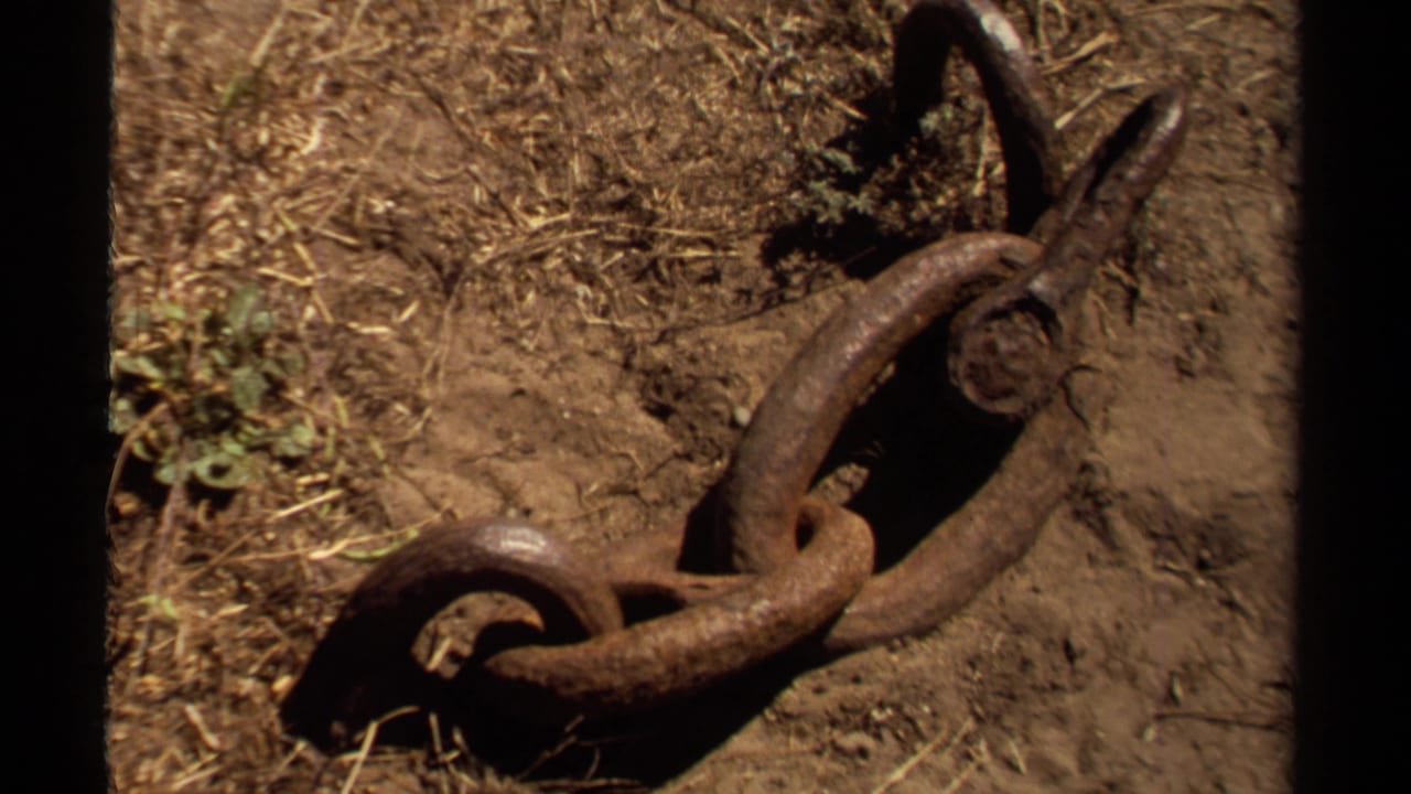 Rusty chain lying in dirt and dry grass near the edge of an 8mm film frame.