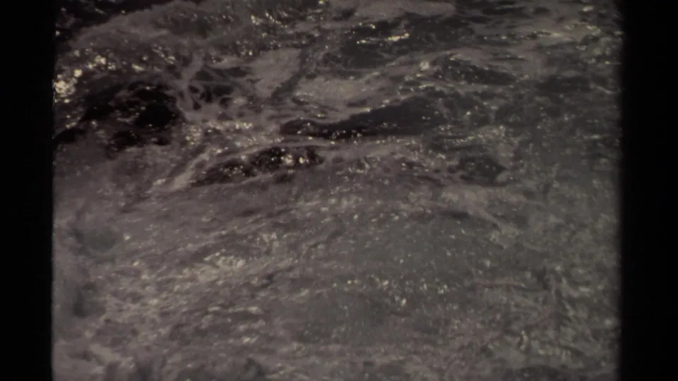 Black-and-white 8mm coastal frame showing foamy surf and a dark sea-animal-like form near the upper waterline.