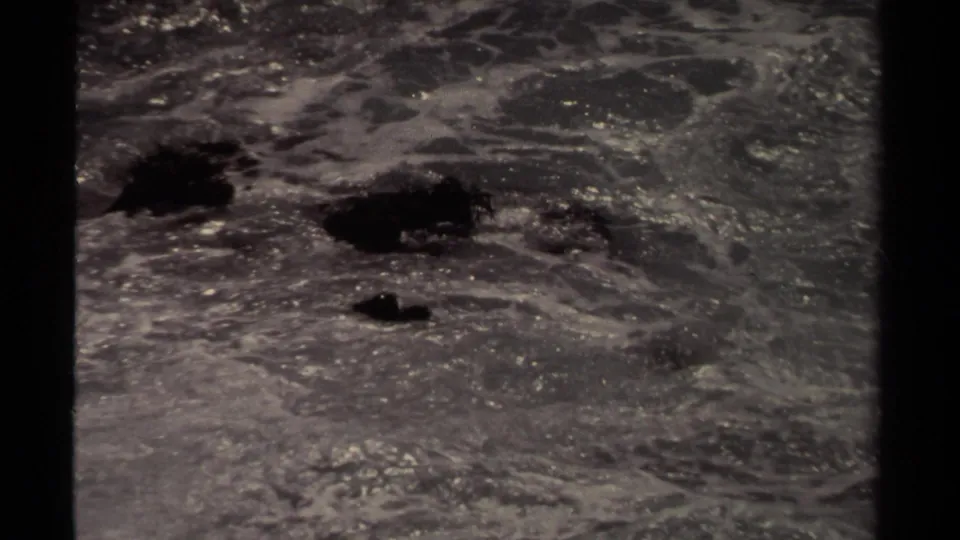 Black-and-white 8mm Mendocino coastal frame showing a dark elongated form moving through turbulent surf beside smaller dark patches.