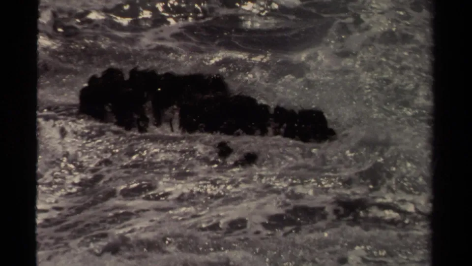 Black-and-white 8mm frame from Mendocino metadata showing a dark elongated sea animal-like form surrounded by breaking surf.