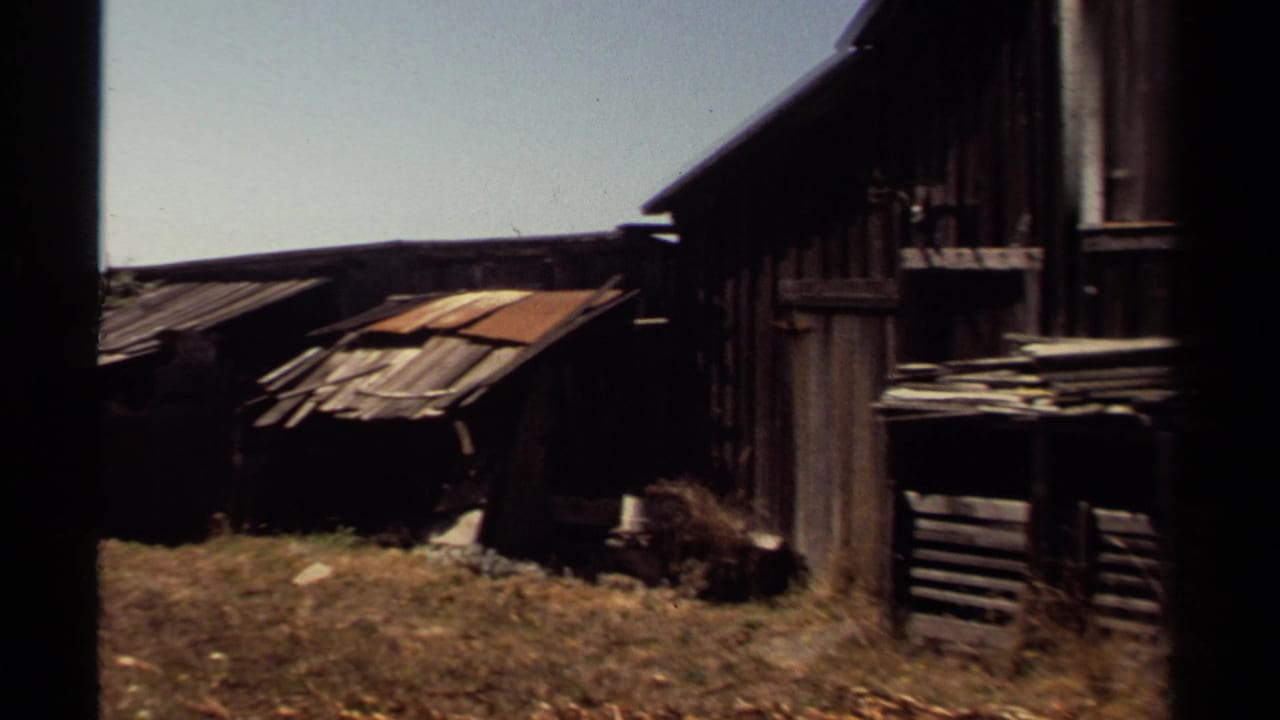 1980 Mendocino frame with damaged wooden sheds, uneven roof panels, corrugated metal, and dry overgrown ground.