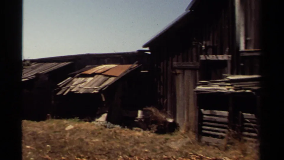 1980 Mendocino frame with damaged wooden sheds, uneven roof panels, corrugated metal, and dry overgrown ground.