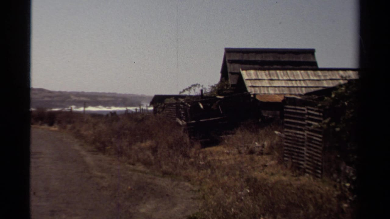 Weathered wooden buildings and fencing beside a coastal dirt path with water in the distance.