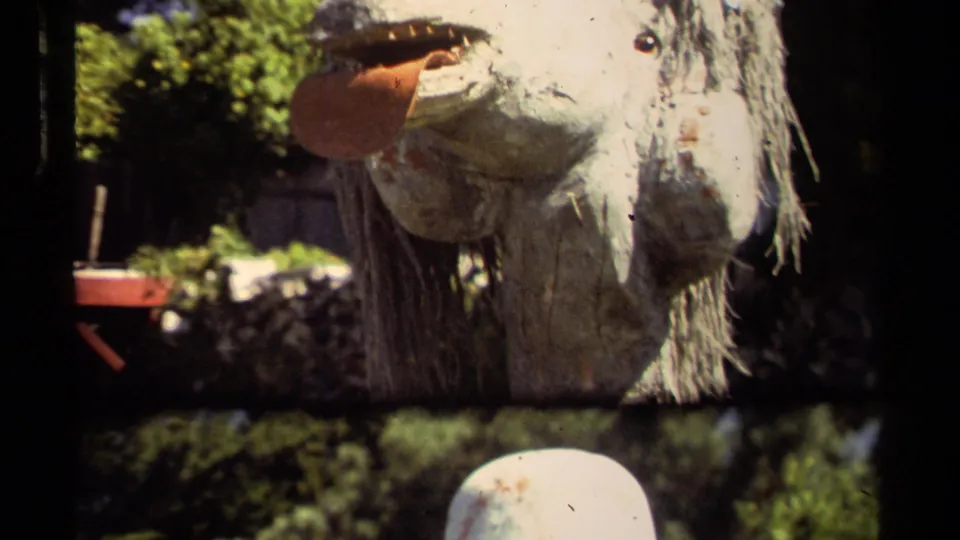 Close-up of a worn llama pinata outdoors in Mendocino, California, from 1980 8mm home-movie footage.