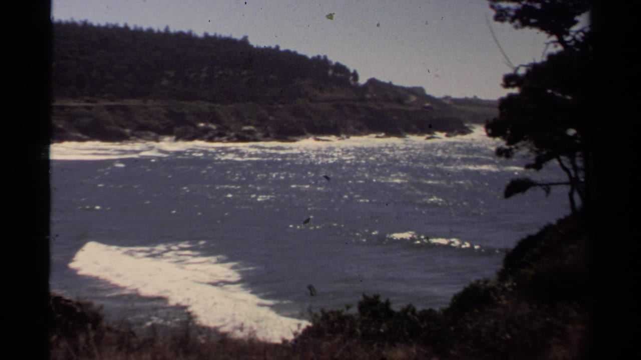 1980 8mm Mendocino coastal view with glittering water, white surf, forested headland, and silhouetted shoreline trees.