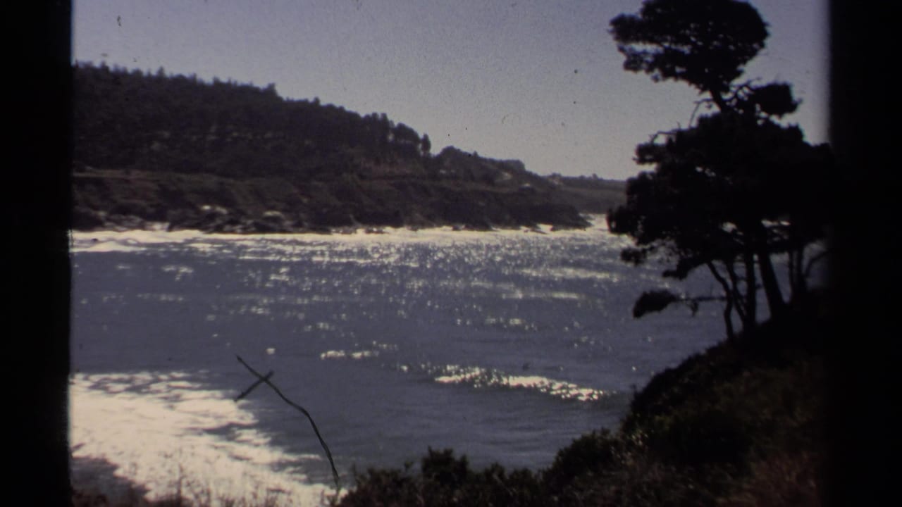 Glittering coastal water and surf framed by dark shoreline trees.