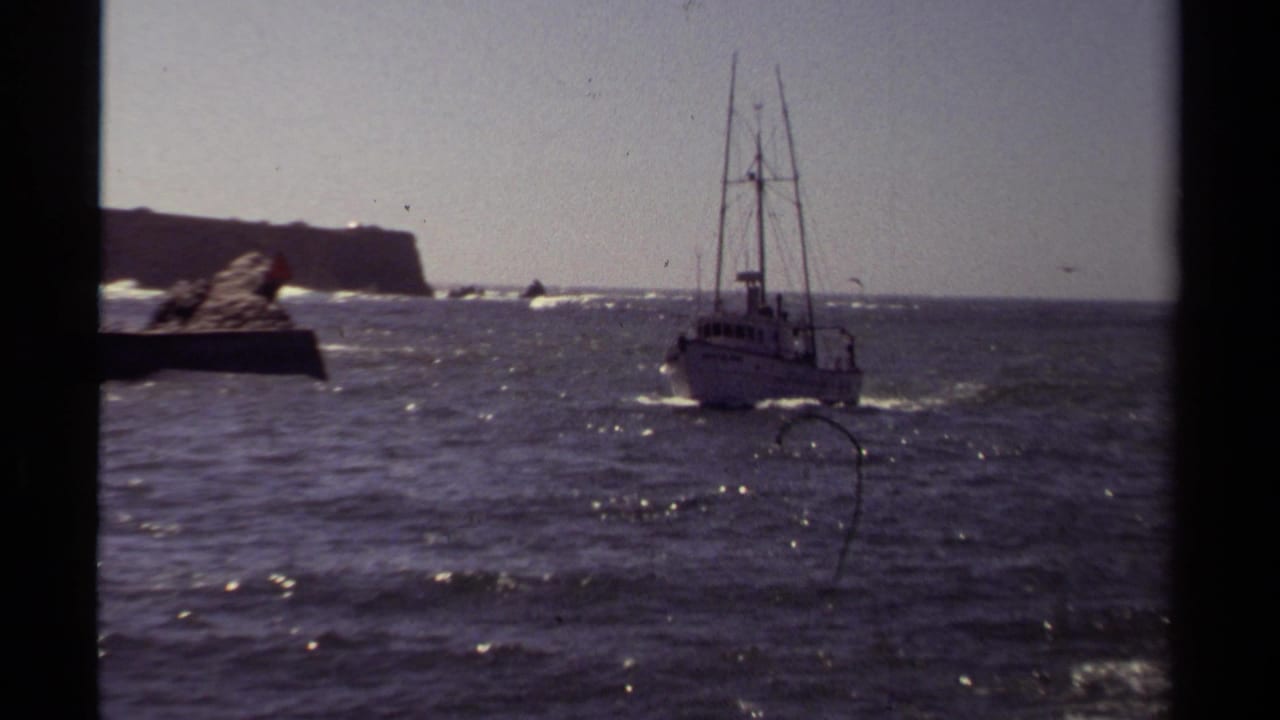 A white boat travels through rough coastal water near Mendocino, California, with dark rocks and surf behind it.