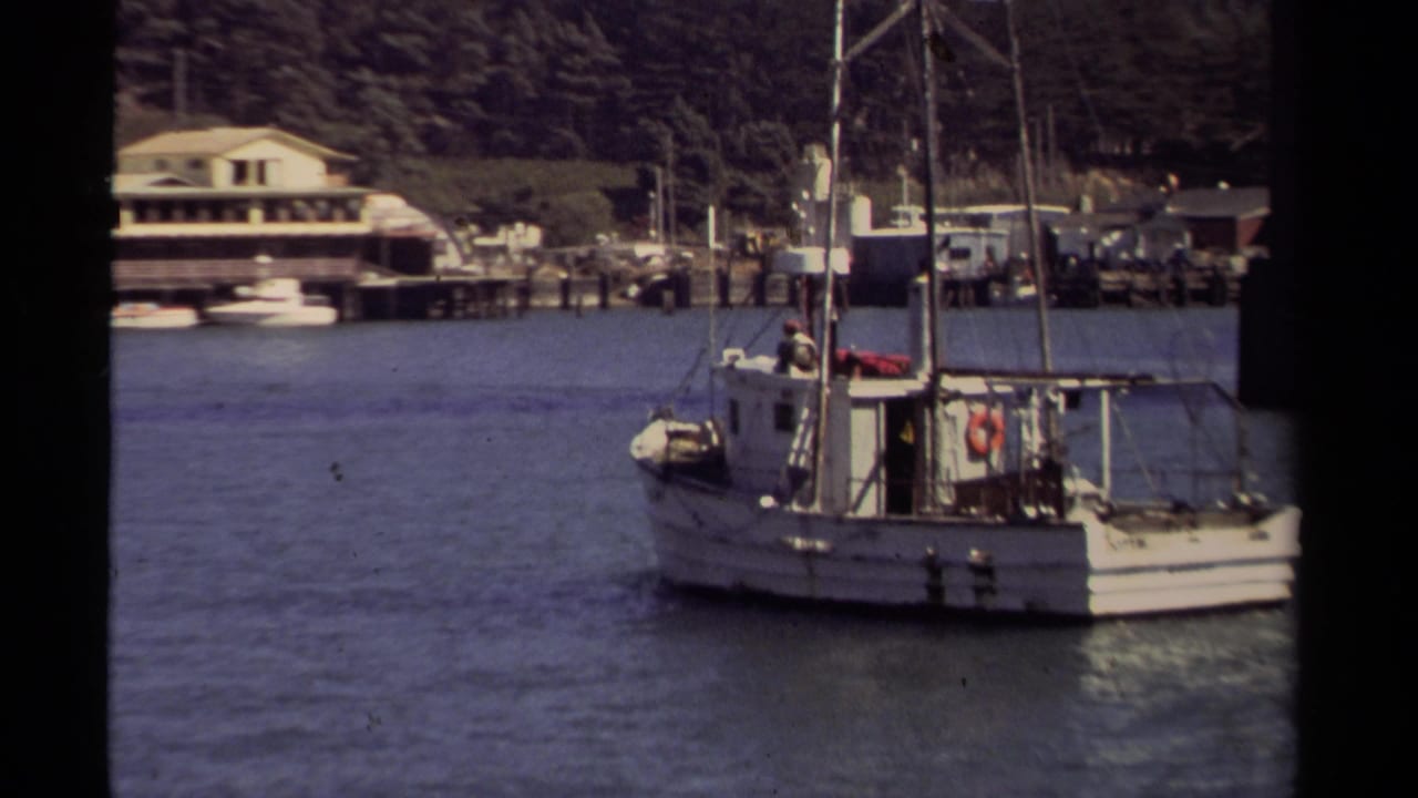Fishing boat on harbor water with docks, shoreline buildings, and people in the background.