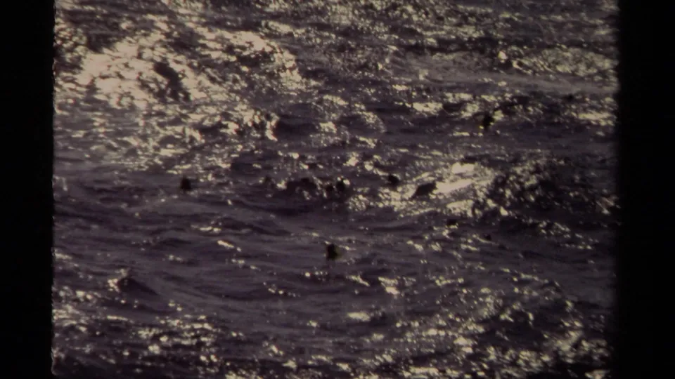 Choppy Mendocino coastal water glitters in a 1980 8mm frame, with scattered foam and a dark lower shoreline edge.