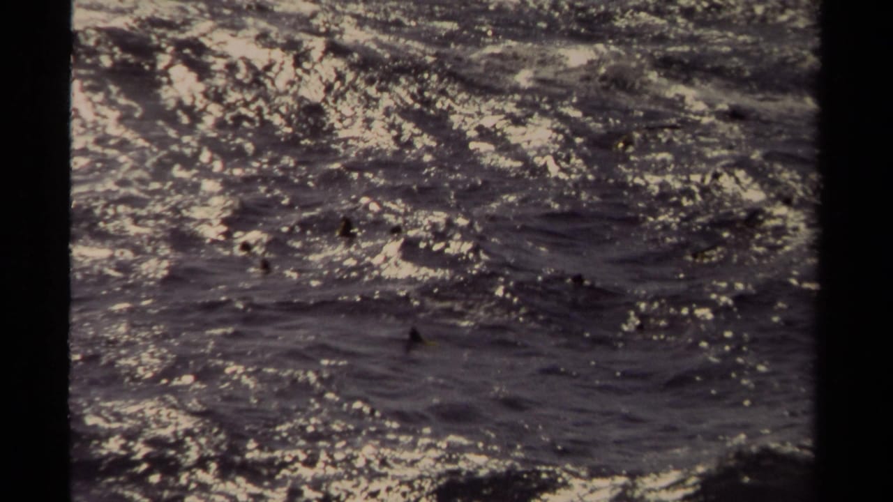 Close-up of rippling water with bright reflections and dark film borders.