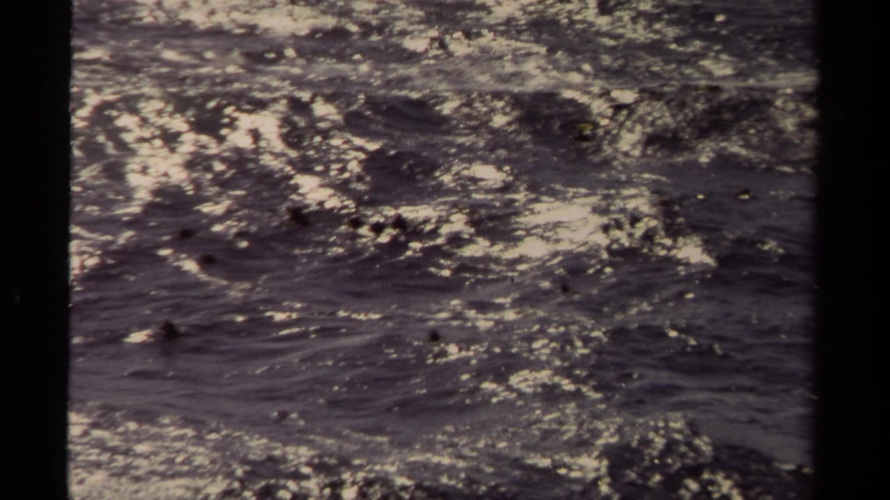 Close 8mm view of moving Mendocino water, with small waves, dark patches, and shimmering reflected light.