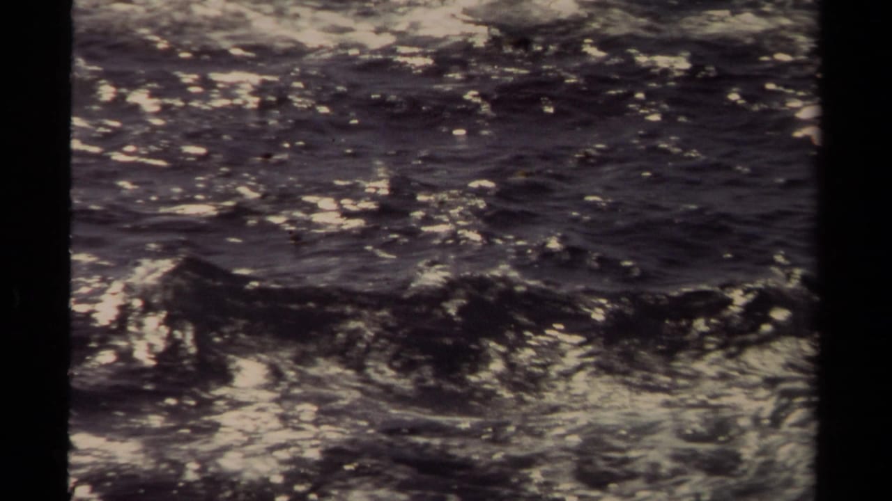 Dark ocean water with small rolling waves and bright foam highlights.