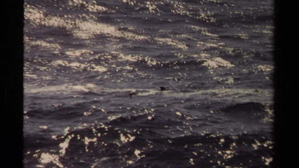 Mendocino 1980 frame showing layered dark waves, white foam, and sparkling highlights across the water.