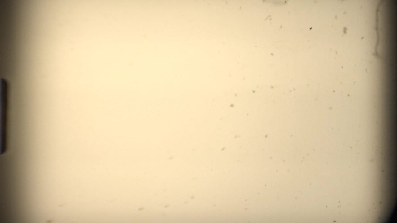 Blank or overexposed-looking 8mm film area with warm tint, dust specks, and dark gate edges in the supplied 1980 Mendocino clip.