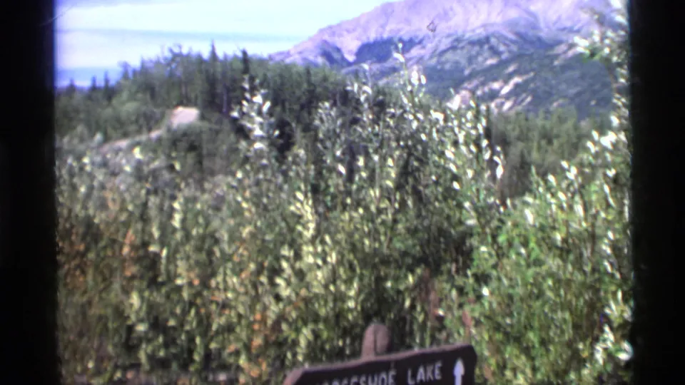 1977 Alaska 8mm frame with foreground brush, forested hills, mountains, and a partially visible Horseshoe Lake sign.