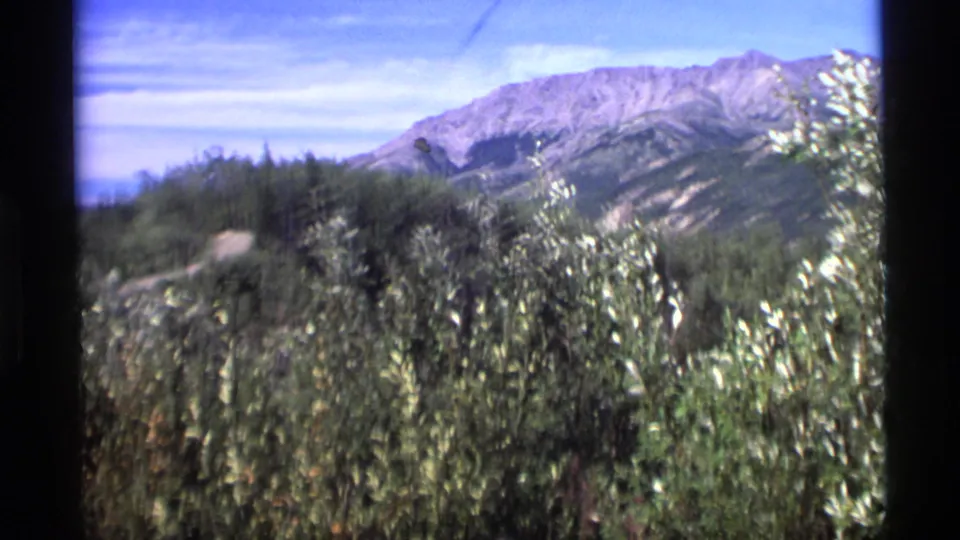 1977 Alaska home-movie frame showing brush, evergreen hills, and a mountain ridge in soft 8mm color.