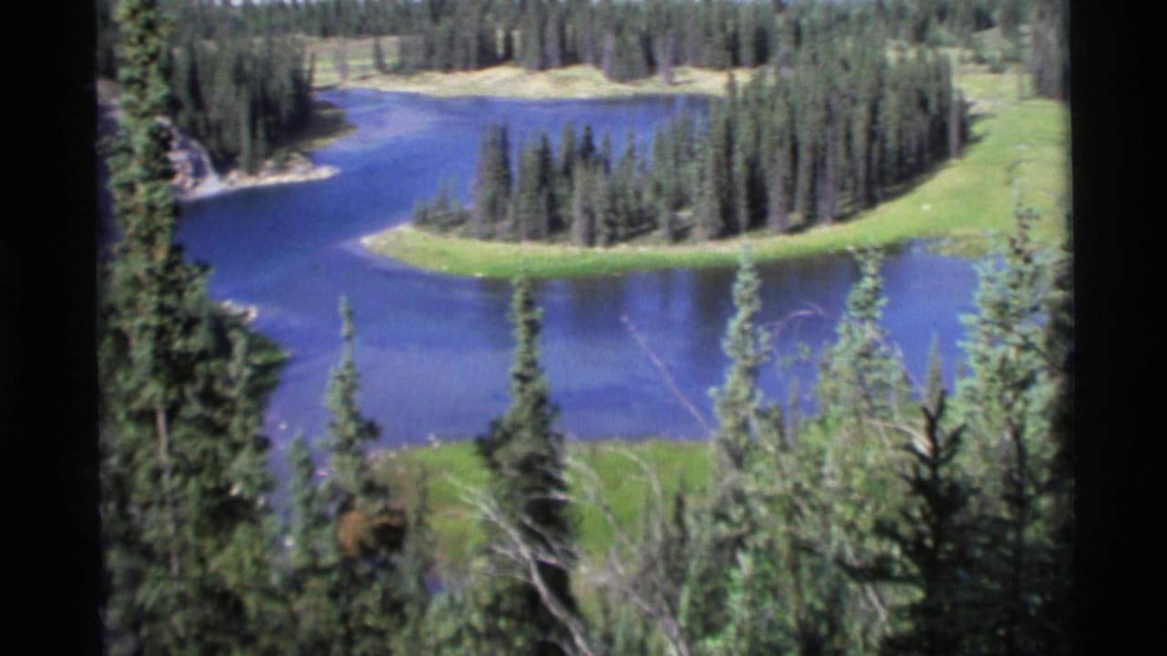 1977 Alaska home-movie view of a blue lake beside a tree-covered point and surrounding pine forest.