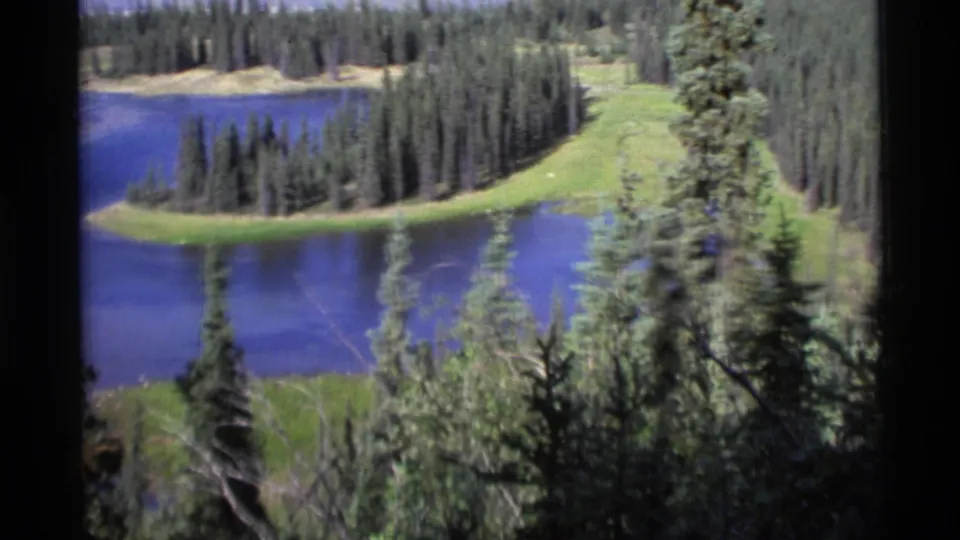 1977 Alaska 8mm frame with blue lake water, a tree-covered shoreline, and foreground evergreens.