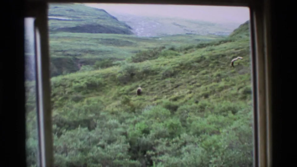 Wide 1977 Alaska home-movie view through window framing, with a small bear visible in the green valley slope.