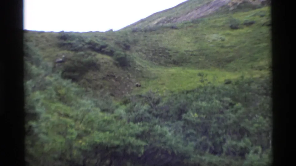 An 8mm view of an Alaskan green hillside and thick brush, with no clear people visible in this final frame.