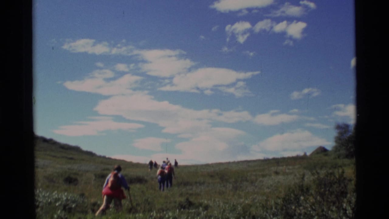 Hikers walk through a grassy meadow under a blue sky with clouds.
