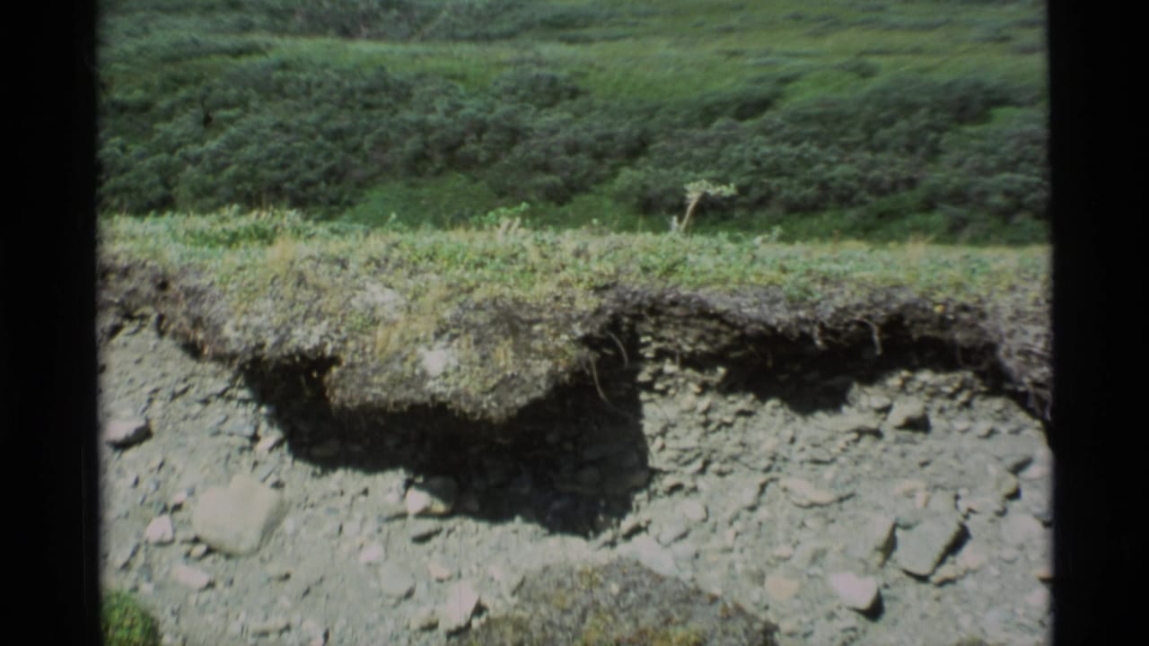 Grassy ground above an eroded dirt ledge with exposed rocks and dark film borders.