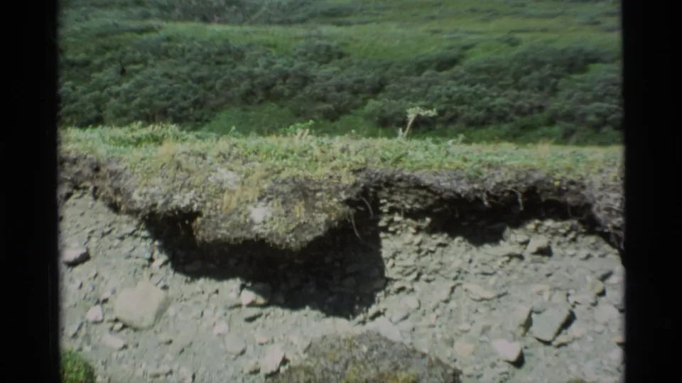 1977 Alaska 8mm frame showing a grassy slope broken by an eroded dirt face with loose stones and sod overhangs.