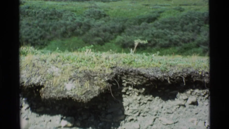 1977 Alaska 8mm frame with green ground cover above a crumbling exposed soil bank and scattered stones.