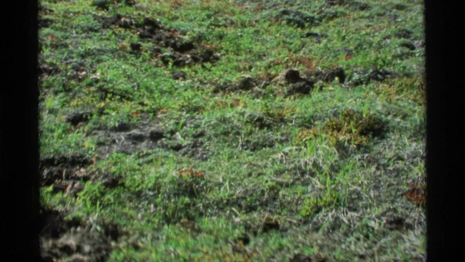 1977 Alaska 8mm frame showing uneven green ground with dark soil clumps and low vegetation after the eroded ledge view.