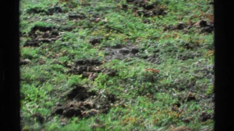 1977 Alaska 8mm frame of rough green terrain with scattered dark soil patches, seen in soft handheld home-movie footage.