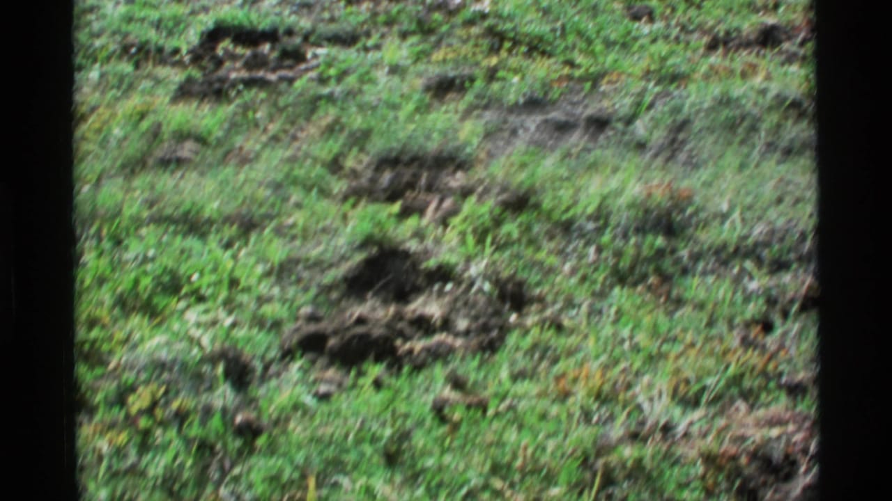 1977 Alaska 8mm frame showing grassy earth with disturbed soil and a small dark burrow opening.